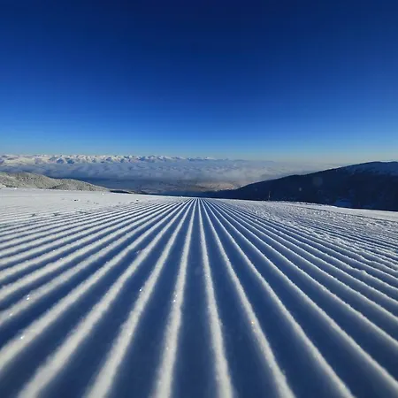 Lejlighed Studio Royal Tower Bansko